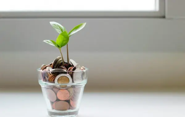 Plant growing out of coins - representing growth