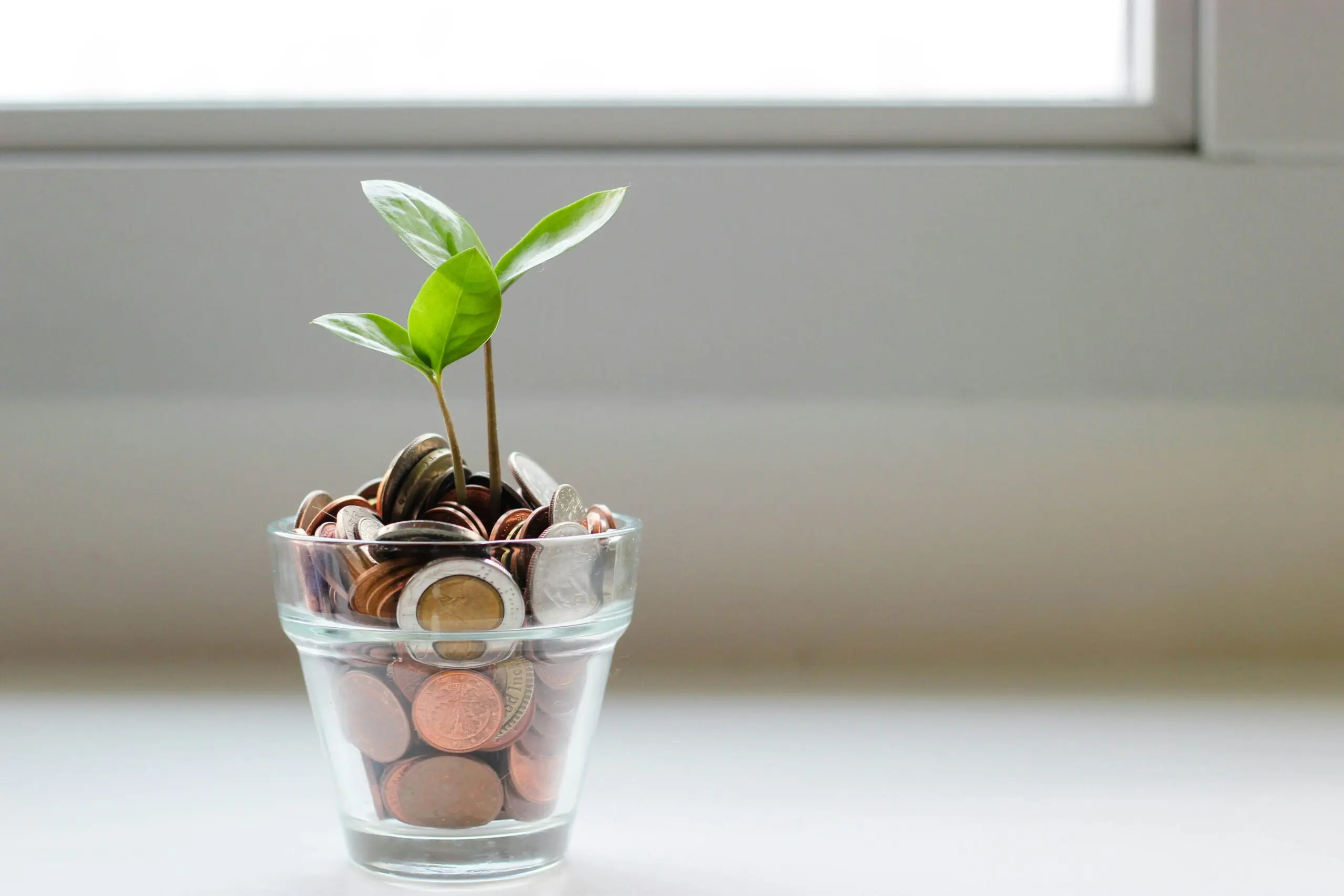 Plant growing out of coins - representing growth